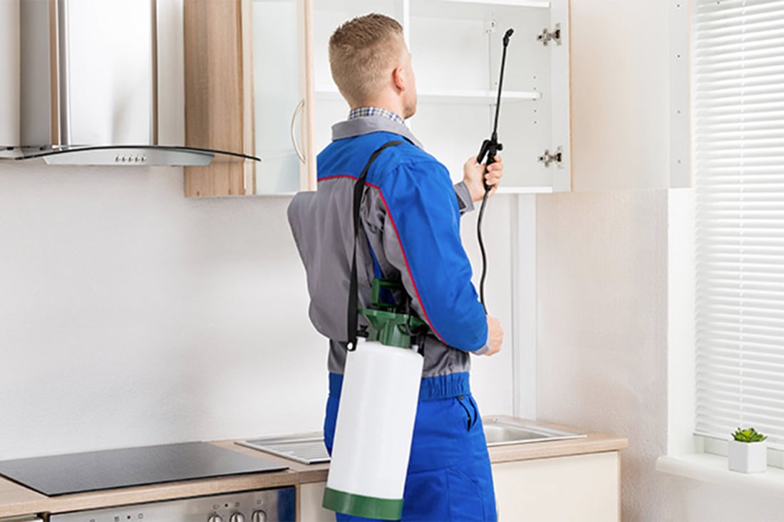 Local Pest Control Services